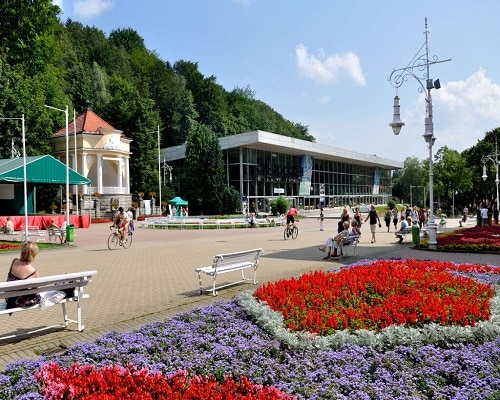 Krynica Zdrój - klomb kwiatowy