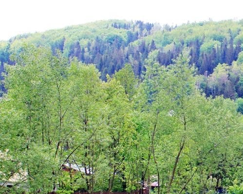 Wisła - Jawornik