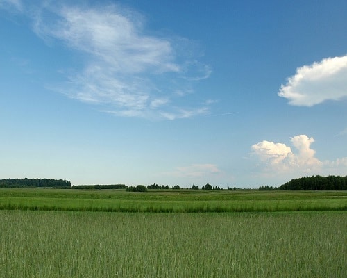 Żołynia - okoliczne tereny