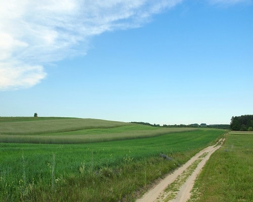 Okolice Żołyni