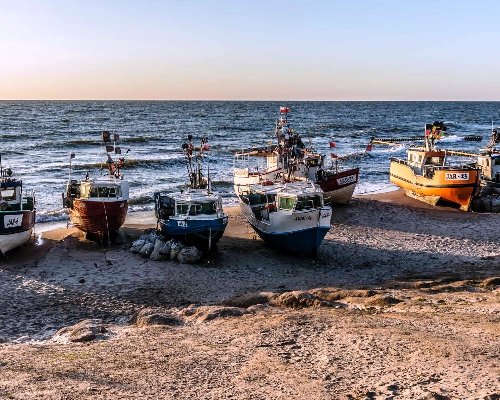 kutry na plaży