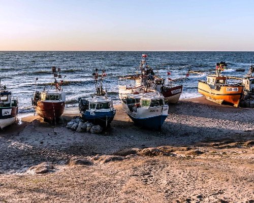 kutry na plaży