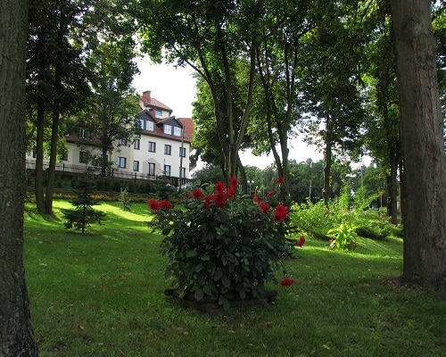 Zieleń w ośrodku