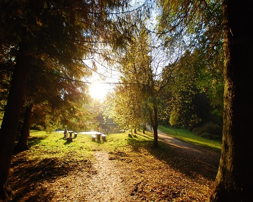 Park Zdrojowy