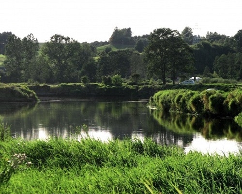 Okoliczna przyroda