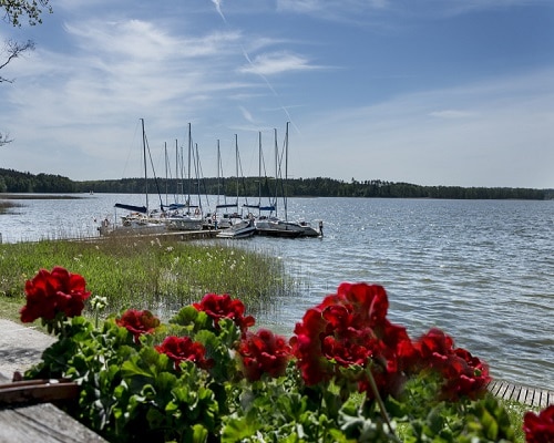 Widok na port jachtowy