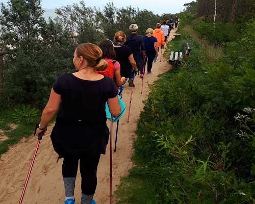 Zającia Nordic Walking