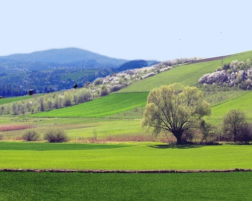 Iwonicz Zdrój - okolica